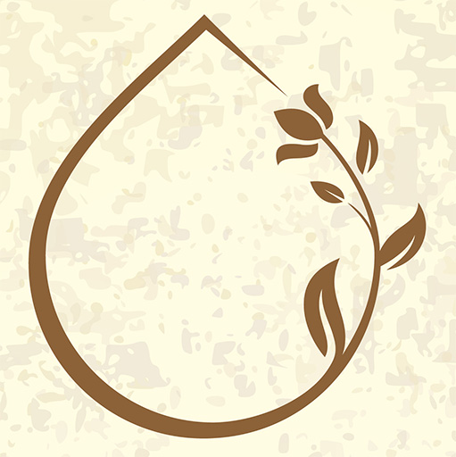512 logo